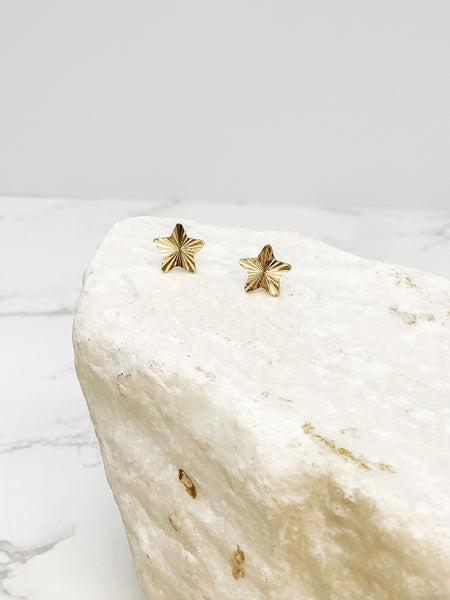 Shining Star Stud Earrings