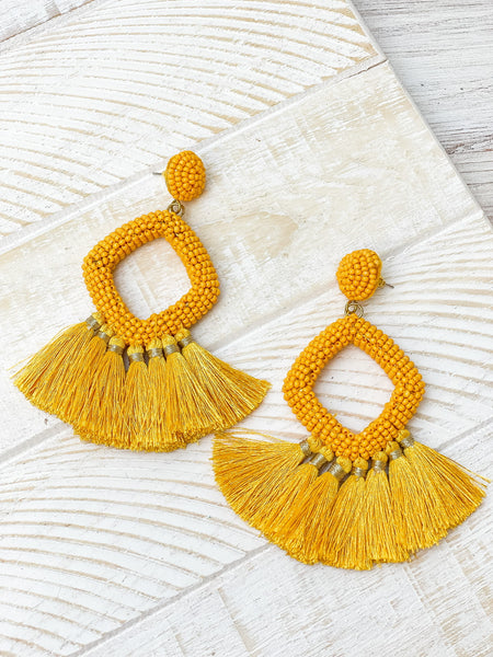 Seed Bead Fringe Dangle Earrings